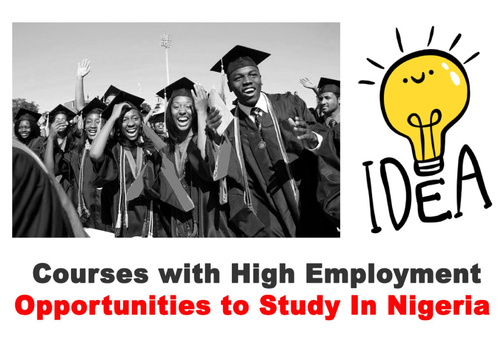 10 Courses with High Employment Opportunities to Study in Nigeria