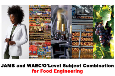 Subject Combination for Food Engineering 2022