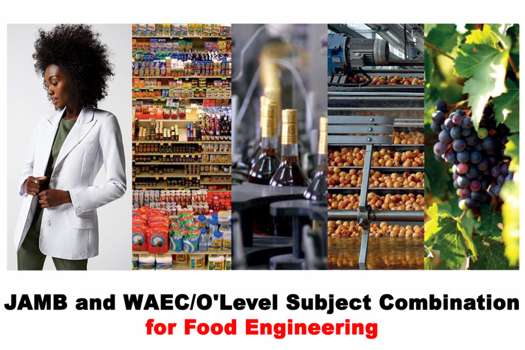 Subject Combination for Food Engineering
