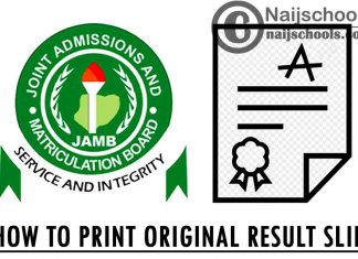 How to Print Your Original 2022 JAMB Exam Result Slip