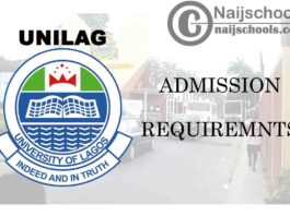 University of Lagos (UNILAG) General Admission Requirements for 2020/2021 Academic Session | CHECK NOW
