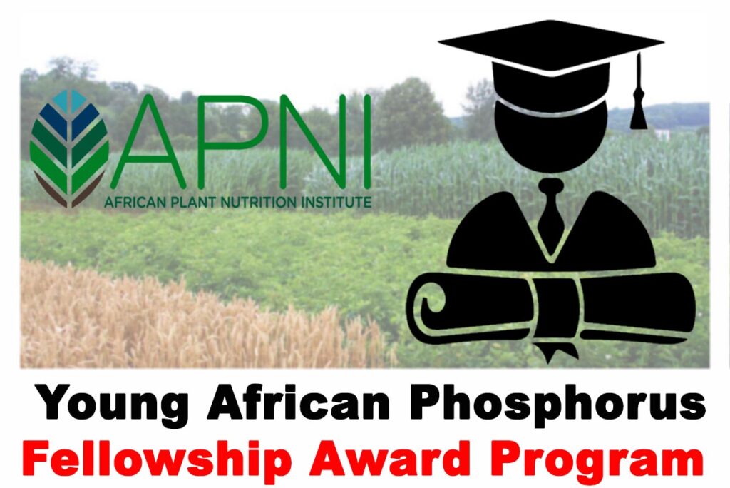 African Plant Nutrition Institute (APNI) Young African Phosphorus Fellowship Award 2020 | APPLY NOW