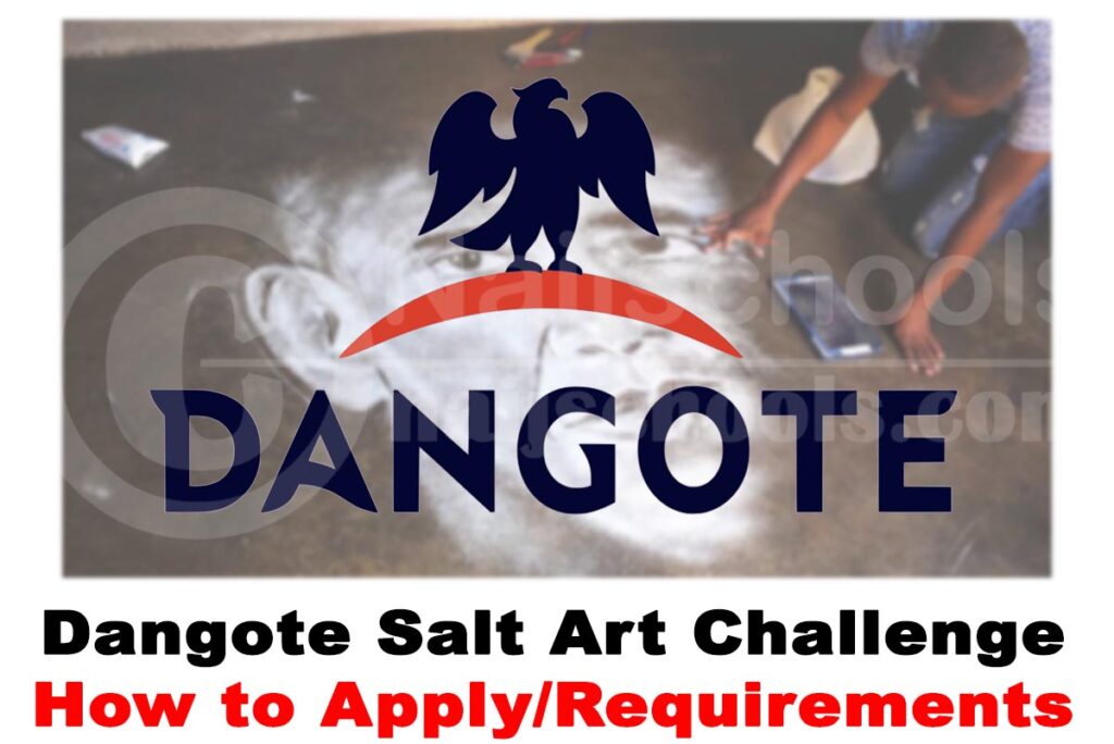 Dangote Salt Art Challenge 2020 | APPLY NOW