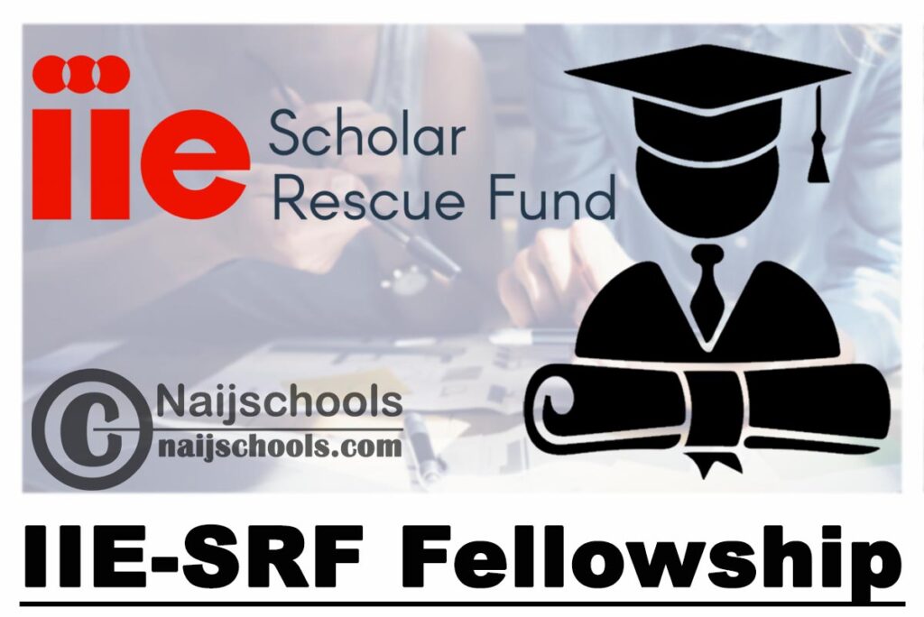 Institute of International Education Scholar Rescue Fund (IIE-SRF) Fellowship 2023