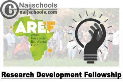 Africa Research Excellence Fund Research Development Fellowship 2023