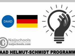 DAAD Helmut-Schmidt Programme 2023