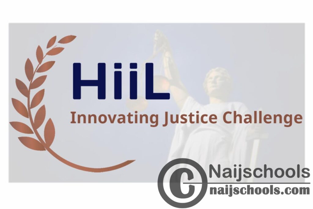 HiiL's Innovating Justice Challenge 2020 Accelerator Programme (Funding Available) | APPLY NOW