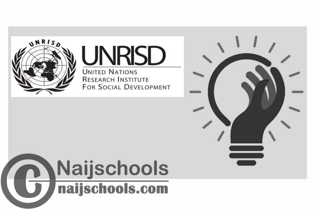 United Nations Research Institute for Social Development (UNRISD) is Seeking a Senior Gender Justice and Development Consultant | APPLY NOW