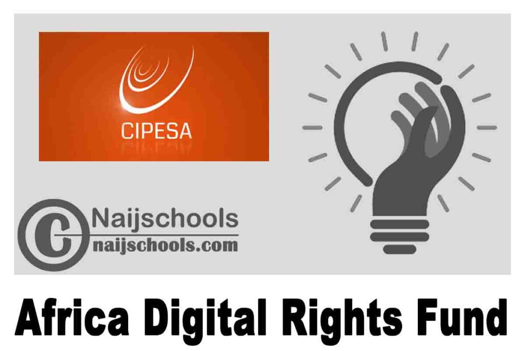 CIPESA Africa Digital Rights Fund (ADRF) Round 3 2020 (Up to $20,000) | APPLY NOW
