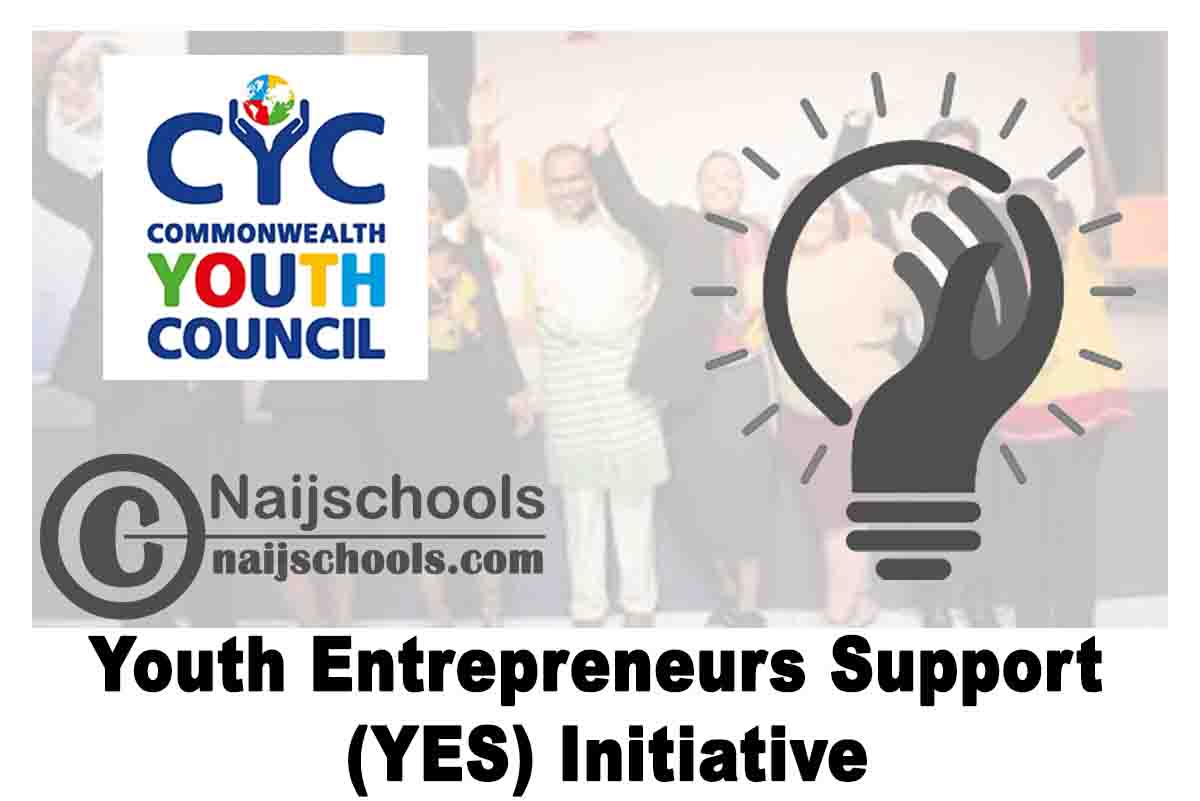Commonwealth Youth Council Youth Entrepreneurs Support (YES) Initiative 2020 | APPLY NOW