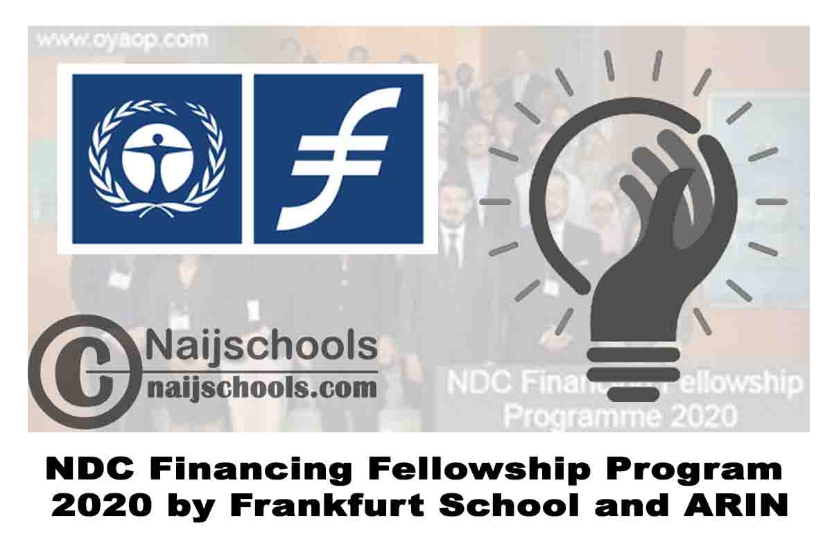NDC Financing Fellowship Program 2020 by Frankfurt School and ARIN | APPLY NOW