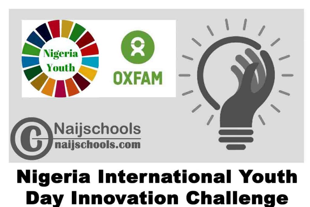NGYouthSDGs and Oxfam Nigeria International Youth Day Innovation Challenge 2020 (N300,000 Prize Award) | APPLY NOW