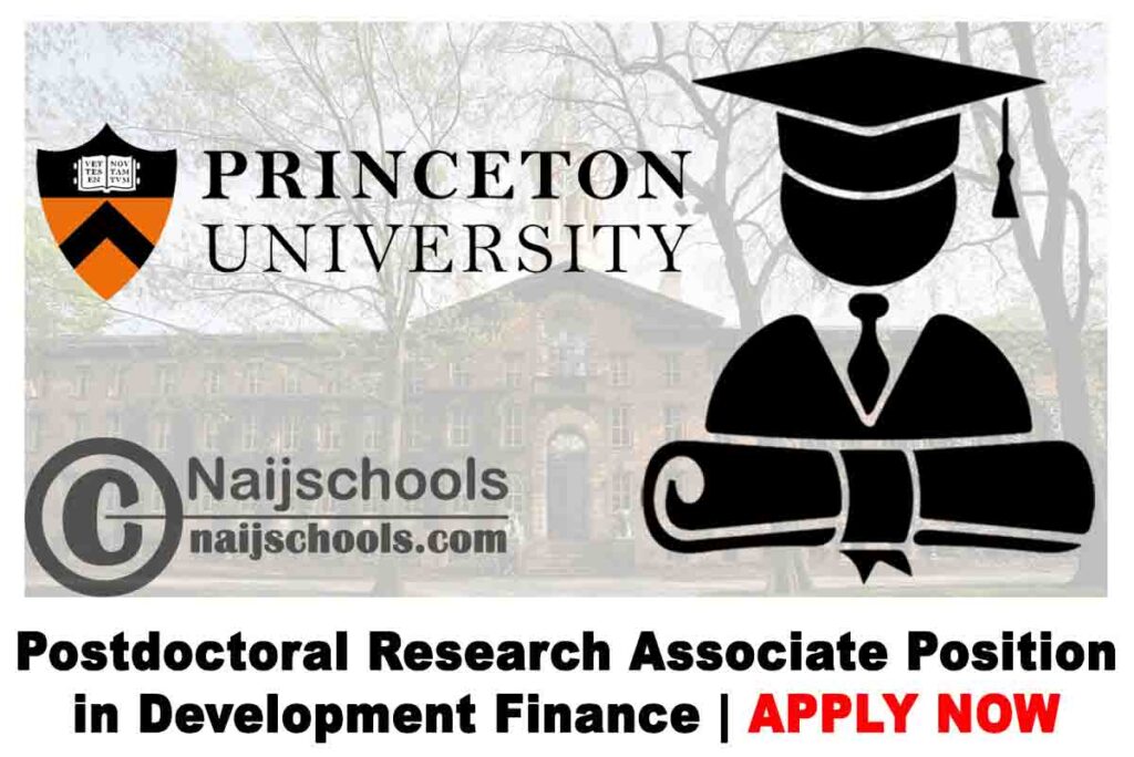 Princeton University Postdoctoral Research Associate Position in Development Finance 2020 | APPLY NOW
