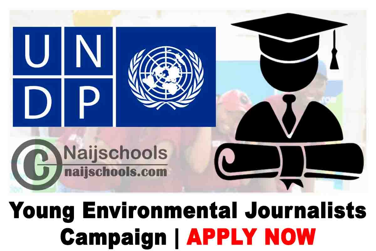 United Nations Development Program (UNDP) Young Environmental Journalists Campaign 2020 (Call for Volunteers) | APPLY NOW