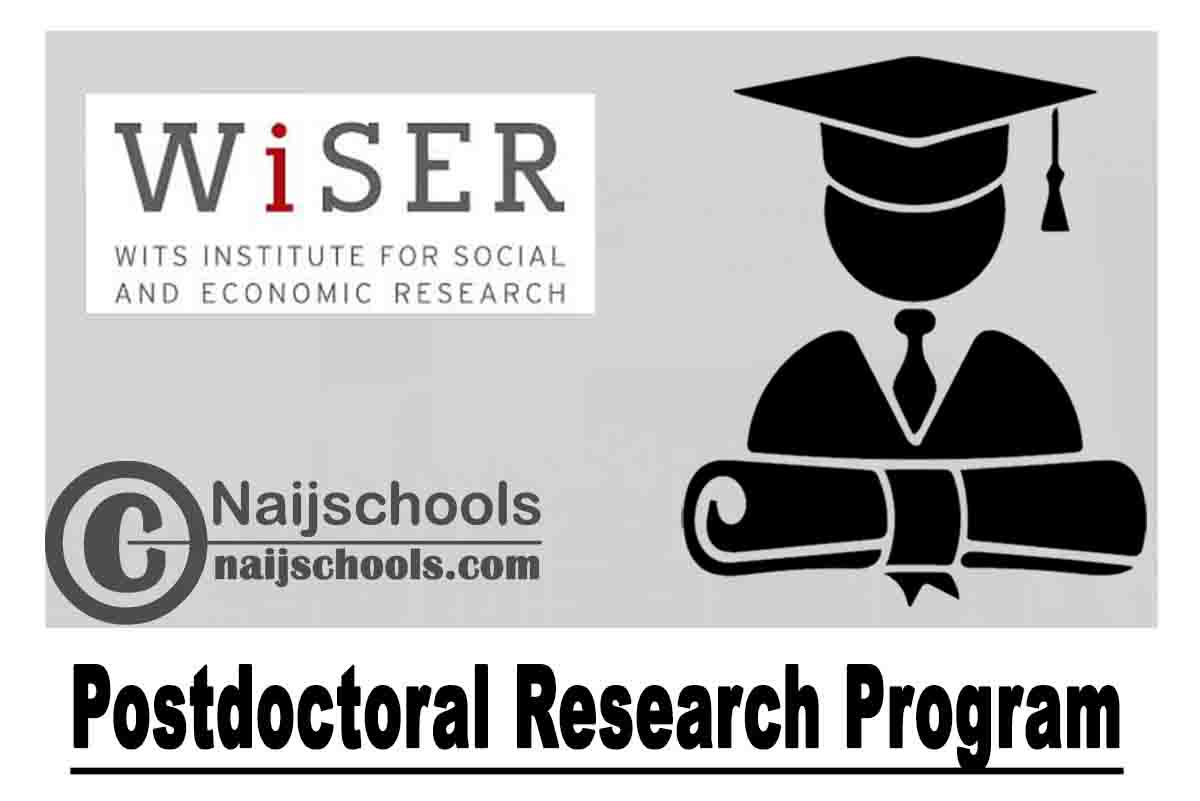 Wits Institute for Social and Economic Research (WISER) Postdoctoral Research Program 2020-2022 (Funded) | APPLY