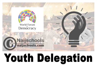 World Forum for Democracy 2023 Youth Delegation (Fully-funded to Strasbourg) | APPLY NOW