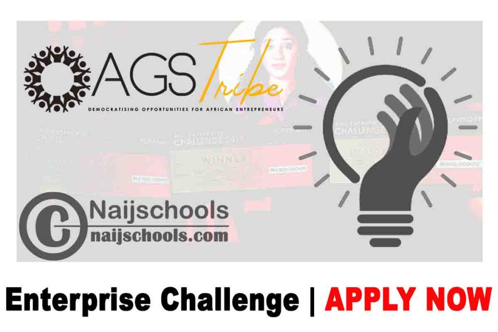AGS Enterprise Challenge 2020 for Female Entrepreneurs in Nigeria (N3,000,000 in Prizes) | APPLY NOW