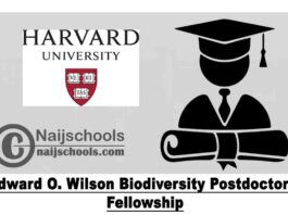 Edward O. Wilson Biodiversity Postdoctoral Fellowship 2020 at The Museum of Comparative Zoology - Harvard University (Stipend of $55,000) | APPLY NOW
