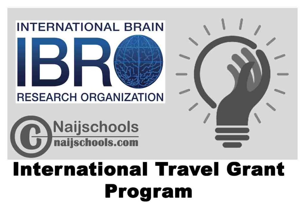 IBRO International Travel Grant Program 2021 Return Home Fellowship (up to 20,000 Euros) | APPLY NOW