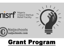 Nigeria Impact Startup Relief Facility (NISRF) Grant Program 2020 (up to $20,000) | APPLY NOW