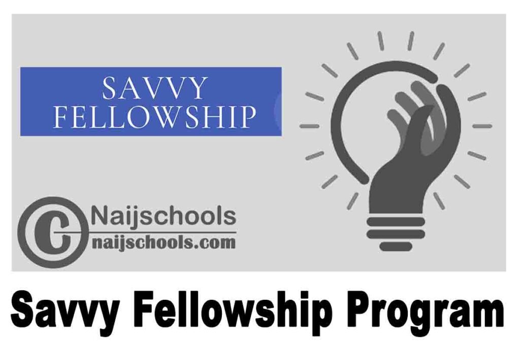Winter 2021 Call for Mentors: Savvy Fellowship Program | APPLY NOW