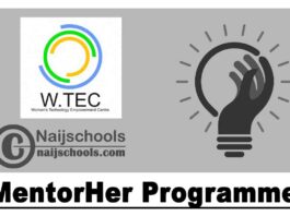 Womens Technology Empowerment Center (WTEC) MentorHer Programme 2020 Call for Mentors | APPLY NOW