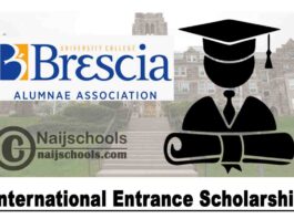 Brescia University College International Entrance Scholarship 2020 (Canada) | APPLY NOW