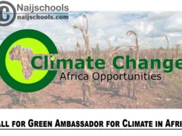 Climate Change Africa Opportunities (CCAO) Call for Green Ambassador for Climate in Africa 2020 | APPLY NOW