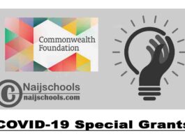 Commonwealth Foundation COVID-19 Special Grants (up to £30,000) | APPLY NOW
