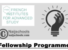 French Institutes for Advanced Study Fellowship Programme 2020 (Funded) | APPLY NOW