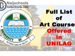 Full List of Art Courses Offered in University of Lagos (UNILAG) 2020