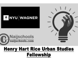 Henry Hart Rice Urban Studies Fellowship 2021 to Study at NYU Wagner | APPLY NOW