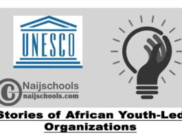 Call for Submission/Nomination of Stories of African Youth-Led Organizations 2020 | APPLY NOW