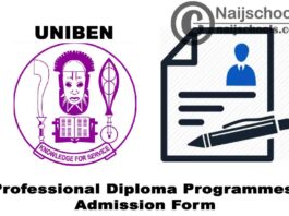 University of Benin (UNIBEN) Professional Diploma Programmes Admission Form for 2020/2021 Academic Session | APPLY NOW
