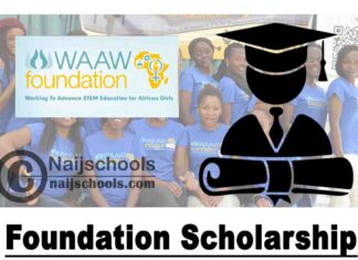 WAAW Foundation 2023/2024 Scholarship for African Female Student In Stem | APPLY NOW