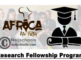 Africa No Filter (ANF) Research Fellowship Program 2020 for Emerging Scholars | APPLY NOW