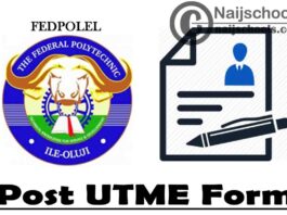 Federal Polytechnic Ile-Oluji (FEDPOLEL) Post UTME Screening Form for 2021/2022 Academic Session | APPLY NOW