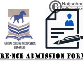Federal College of Education (FCE) Eha-Amufu Pre-NCE Admission Form for 2020/2021 Academic Session | APPLY NOW