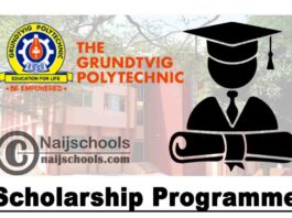 Grundtvig Polytechnic Scholarship Programme for 2020/2021 Academic Session | APPLY NOW