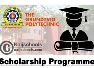 Grundtvig Polytechnic Scholarship Programme for 2020/2021 Academic Session | APPLY NOW