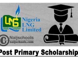 Nigeria Liquefied Natural Gas (NLNG) Limited 2020/21 Post Primary Scholarship Award for Nigerian Based Primary 5 & 6 Students | APPLY NOW