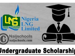 Nigeria Liquefied Natural Gas (NLNG) Limited Undergraduate Scholarship Award for 2020/2021 Academic Session | APPLY NOW