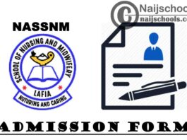 Nasarawa State School of Nursing and Midwifery (NASSNM) Lafia Basic Nursing Programme Admission Form for 2020/2021 Academic Session | APPLY NOW
