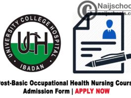 UCH Ibadan Post-Basic Occupational Health Nursing Course Admission Form for 2020/2021 Academic Session | APPLY NOW