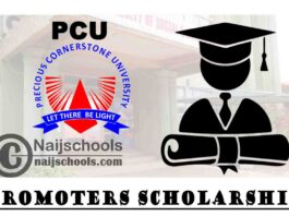 Precious Cornerstone University (PCU) Ibadan Promoters Scholarship 2020 for Nigerians | APPLY NOW
