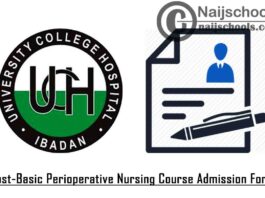 UCH Ibadan Post-Basic Perioperative Nursing Course Admission Form for 2020/2021 Academic Session | APPLY NOW