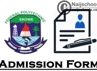 Federal Polytechnic Ekowe Centre for Continuing Education (CCE) Admission Form for 2020/2021 Academic Session (ND Regular & Weekend) | APPLY NOW