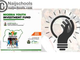 Nigeria Youth Investment Fund (NYIF) 2020 for Young Nigerian Entrepreneurs (75 Billion in Funding) | APPLY NOW