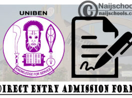 University of Benin (UNIBEN) Direct Entry Admission Screening Form for 2021/2022 Academic Session | APPLY NOW