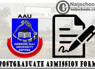 Ambrose Alli University (AAU) Ekpoma Postgraduate Admission Form for 2019/2020 Academic Session | APPLY NOW